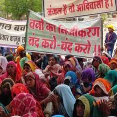  Why change the forest conservation law (II)